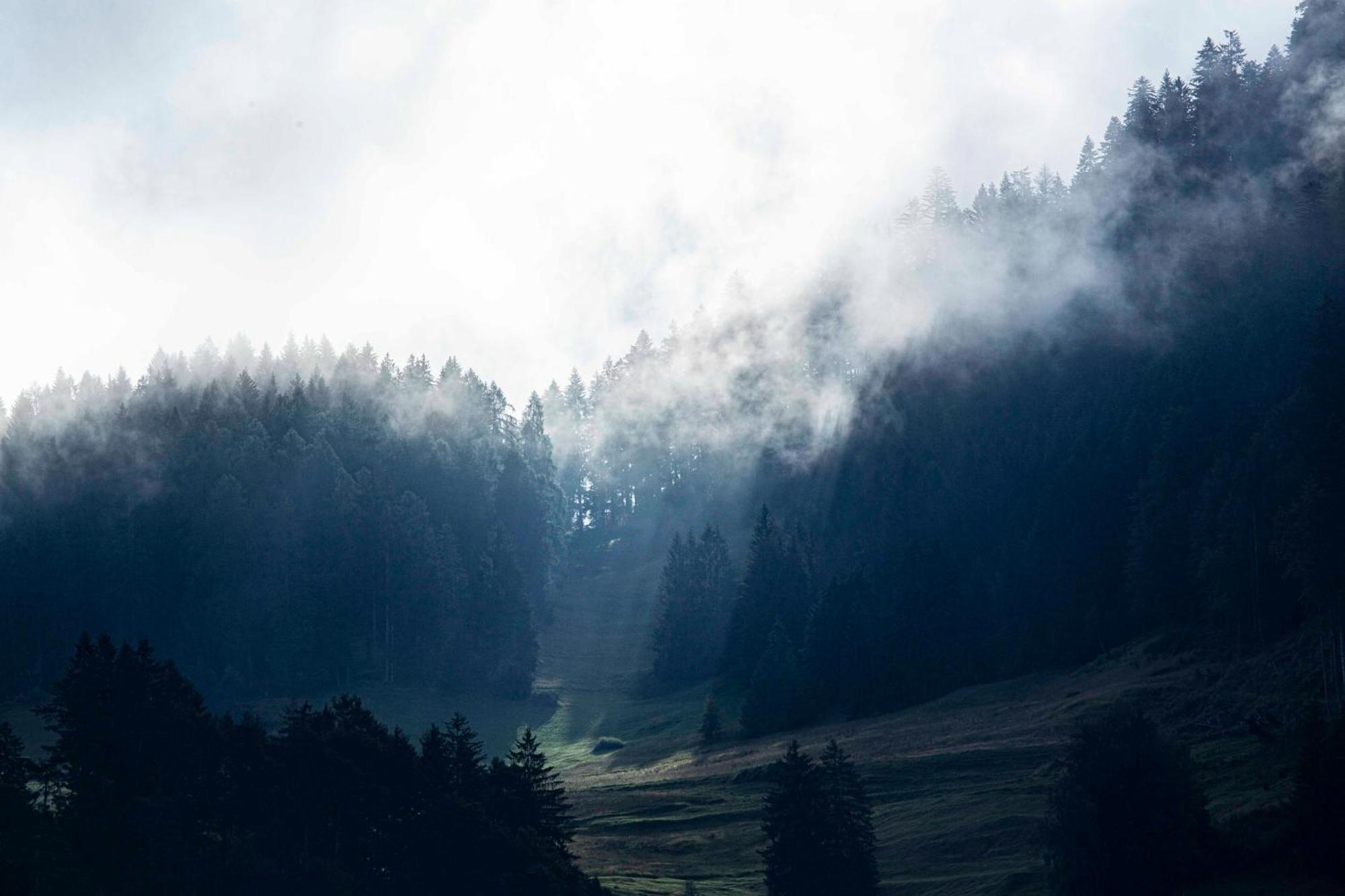 Gasthaus Roessli Versam Dış mekan fotoğraf